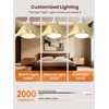 52 inch Modern Ceiling fans with Lights and remote, 3