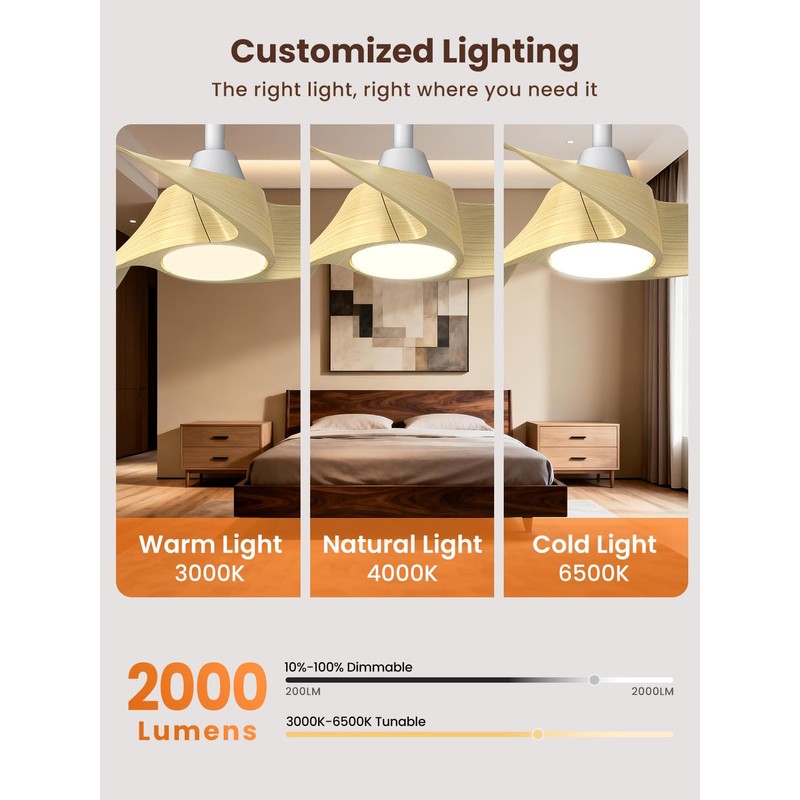 52 inch Modern Ceiling fans with Lights and remote, 3