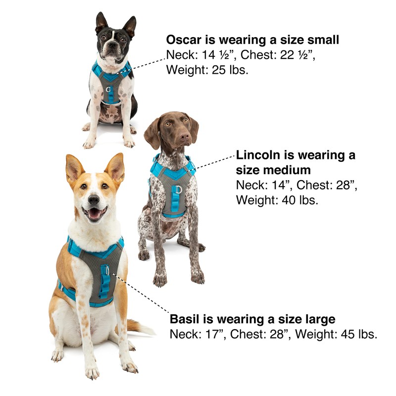 Kurgo Journey Air Dog Harness, Vest Harnesses for Dogs, Pet