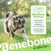 Benebone Wishbone Durable Dog Chew Toy for Aggressive Chewers, Made