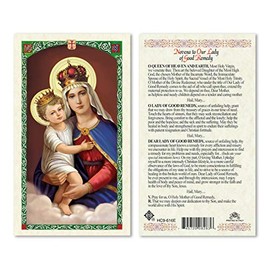 Novena to Our Lady of Good Remedy Laminated Prayer Cards - Pack of 25- English