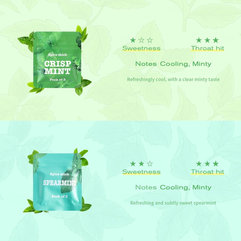 Boderi Quit Inhaler Stainless Steel with 4 Packs Double Mint