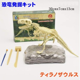 Dinosaur Excavation Skeleton Fossil Excavation Toy Fossil Excavation Kit Dinosaur Fossil Excavation (Tyrannosaurus)