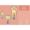Paulmann LED Drops 430 lm E14 4.7 W Gold Dim