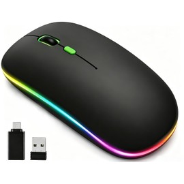 JUGLUTE Mouse Inalámbrico, 2.4GHz y Bluetooth, Adaptador Tipo-C                                                                                       