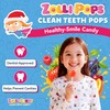 Zollipops - Holiday Variety Pack - Clean Teeth Lollipops, 3.1