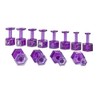 Black Plague Dent Reaper Dead Center Variety Pack Purple Hex