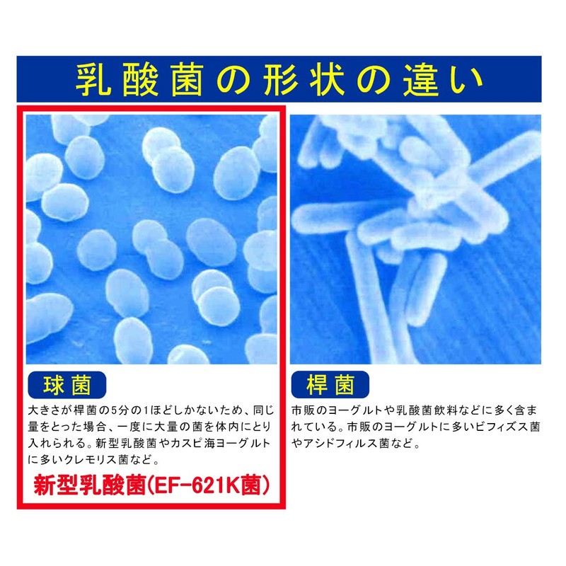 New Lactic Acid Bacteria "New Diamond" (EF-621K Bacteria) / 2