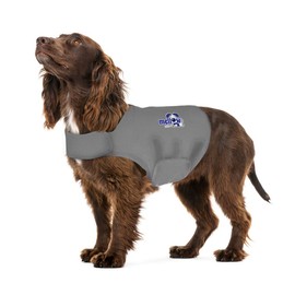Mellow Shirt Dog Anxiety Calming Wrap, Large, Aluminum