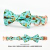 Dinosaur Dog Bow Tie Dog Collar Accessory, Detachable Bowtie, Adjustable
