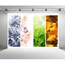 CHNYWORK 7ftx5ft Four Seasons Backdrop Winter Spring Summer Autumn Scenery Fir Tree Butterfly Natural Science Background Nature Class Weather Station Decor Photo Booth Studio Props Wallpaper