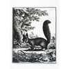 Half a Donkey Retro Style Hand Drawn Squirrel in the