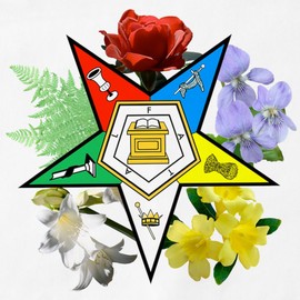 CafePress Eastern Star Floral Emblems BBQ Kitchen Apron with Pockets, Grilling Apron, Baking Apron