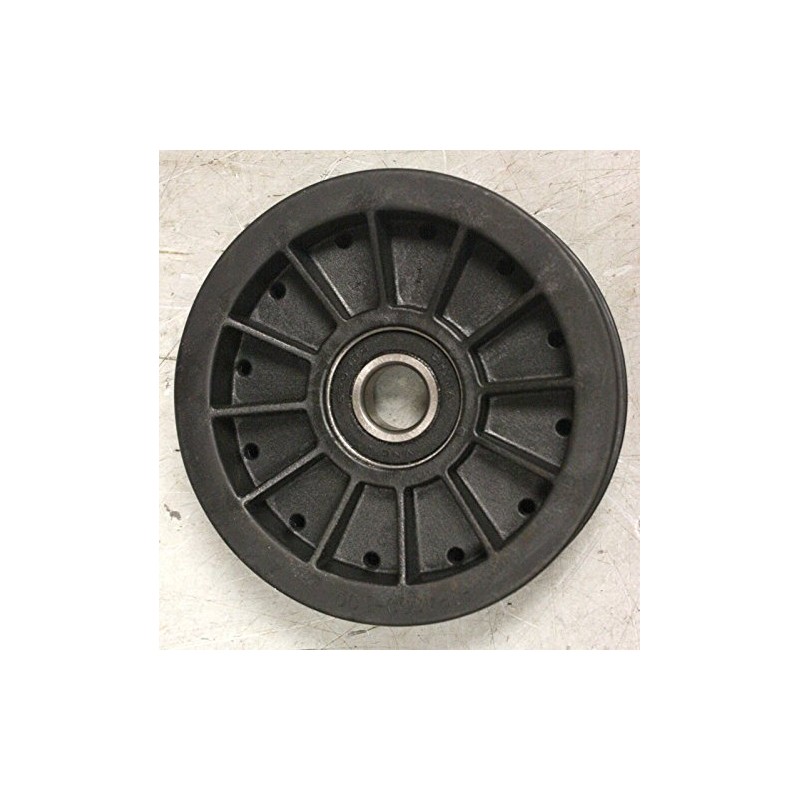 Rotary Composite Idler Pulley 4" X 1" .669" Bore Rotary