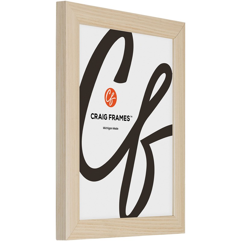 Craig Frames Contemporary, 12x18 Picture Frame, Natural