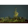 Takasho Solar Light High Power LED Solar Upright 1 LGS-129