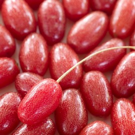 [Cham Goods] 1 container of 200g domestic Cornus officinalis extract powder / [참굿즈] 국산 산수유 추출분말 200g 1통