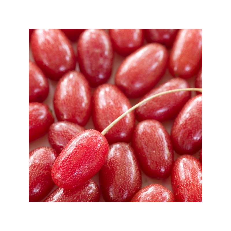 [Cham Goods] 1 container of 200g domestic Cornus officinalis extract