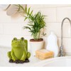 dgudgu Frog Sponge Holder for Kitchen Sink Cute Kitchen Sponge