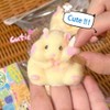 6PCS Taba Squishy Toys,Hamster Squishy Fidget Toys Gift for Children