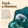 Fahlo Drift Bracelet Manatee Tracking Bracelet, Elastic, Supports Clearwater Marine