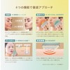 BRUNO BOE145-GR Hot and Cold EMS Facial Lift, Facial Lift,
