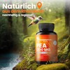PEA Kapseln | MIKRONISIERT: 600mg Palmitoylethanolamid pro Kapsel | 120