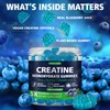 TOPCAPAK Creatine Monohydrate Gummies for Men & Women - Blueberry