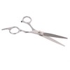 Household Beauty Cutting & Thinning Scissors Straight Scissors (Cutting)