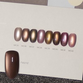 pov FOB Nuts Magnetic Gel Single Item MC40, 10g / 포브 넛츠 자석젤 단품 MC40, 10g