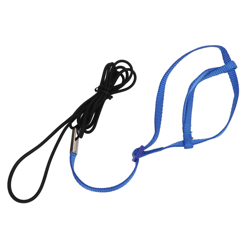 Parrot Harness Leash Adjustable Bird Flying Harness Traction Rope with