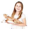 Zappi Co 100% Recycled Plush Bearded Dragon Toy (50 cm
