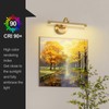 Modern Dimmable Picture Lights for Wall 15.75 Inch Hard-Wired LED