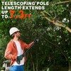 2-IN-1 Cordless Pole Saw & 8" Mini Chainsaw Battery Powered,
