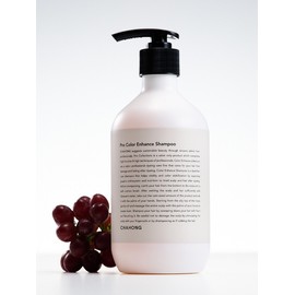 (Color Protection) Pro Color Enhance Shampoo 500ml / (컬러 보호) 프로 컬러 인핸스 샴푸 500ml