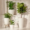 LA JOLIE MUSE 10 Inch Hanging Planters for Indoor Plants,