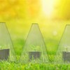 Relaxdays Set of 48 Plant Cloches, Green
