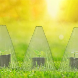 Relaxdays Set of 48 Plant Cloches, Green