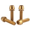 UHDFBDHF 4Pcs Titanium Bolt M6 x 25mm Allen Hex Bolts