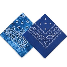 Dorilin 2 Pack Types of Paisley Pattern Bandanas, 22x22 Inches Cotton Bandanas Handkerchief Face Mask for Men & Women (Blue-2 Pack)