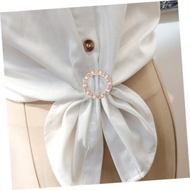 Ipetboom 2pcs Elegant Blouse Buckles Stylish Dress Corner Knot Clips for Scarf and Shirt Decoration for Oversized Shirts and Cashmere Scarves Unique for Women