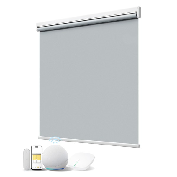 JaeJaes Motorized Smart Shades with Remote Control, Blackout Motorized Roller