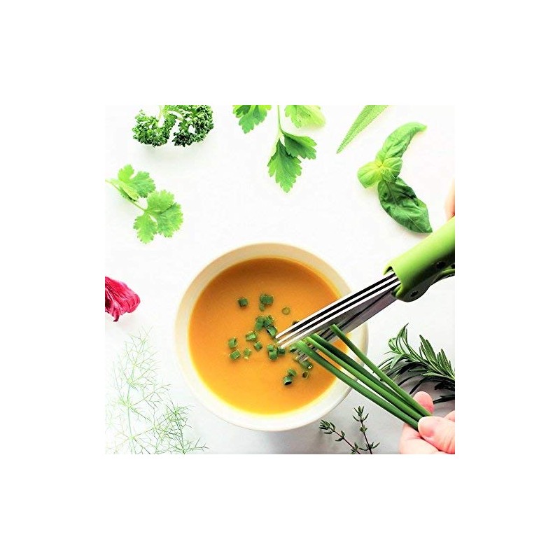 [Convenient Goods] one Piece Blade Julienne Kitchen Scissors The Easy