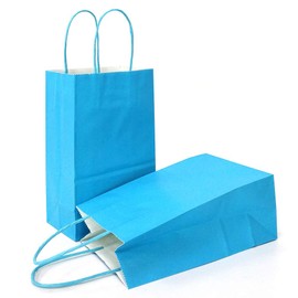 AZOWA Gift Bags Mini Kraft Paper Bags With Handles(Light Blue, 25 Pcs)