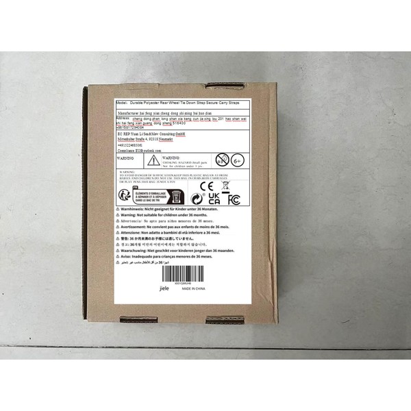 Transport Strap, Secure, Lashing Strap, Rear Wheel, Robust Polyester Strap