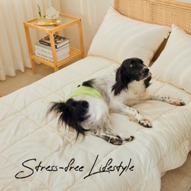 WICKEDPUP Male Dog Belly Band Kit, 50 Diaper Pads & 1 Reusable Male Wrap (Size 3)