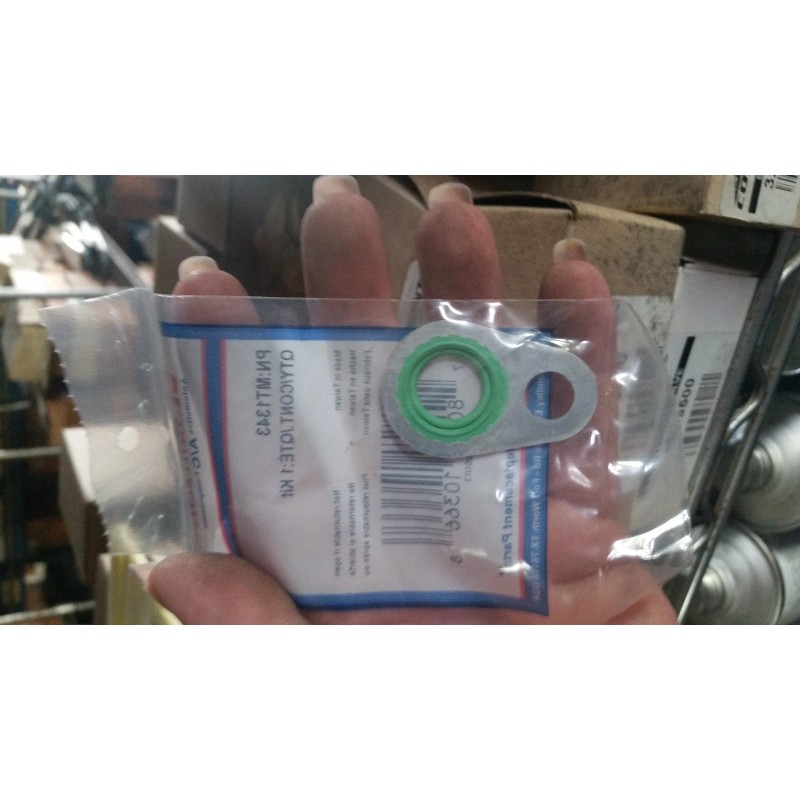 Cool Point Ford FS18, FS20 WASHER & ORING SET Part#