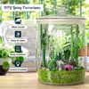Dwbligt 2 Pack Cookie Jar, 1 Gallon Glass Jar with