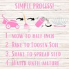 Flawn Seed Kits Creeping Thyme Seed Kit, Easy Spread Shaker