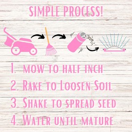 Flawn Seed Kits Creeping Thyme Seed Kit, Easy Spread Shaker Spreader, Low Maintenance, Alternative Ground Cover, Covers Up to 500 SqFt